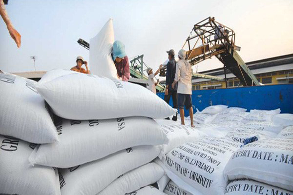 Gạo mất dần thị trường xuất khẩu